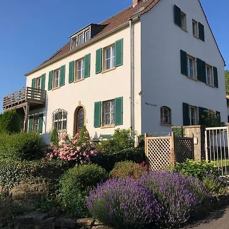 Exklusives In Lage Mit Pool, Sauna, Terrasse - Der Johannishof Holiday home *